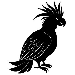 A-cockatoo-bird-silhouette vector illustration