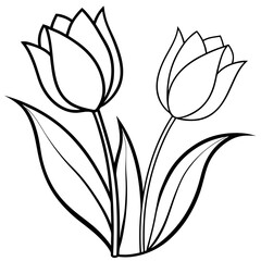  Tulip line-art vector illustration