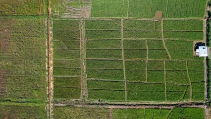Kuching, Malaysia - July 4 2024: Aerial View of The Skuduk Paddy Field