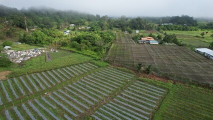 Kuching, Malaysia - July 4 2024: Aerial View of The Skuduk Paddy Field