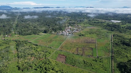 Kuching, Malaysia - July 4 2024: Aerial View of The Skuduk Paddy Field