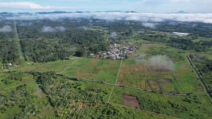 Kuching, Malaysia - July 4 2024: Aerial View of The Skuduk Paddy Field