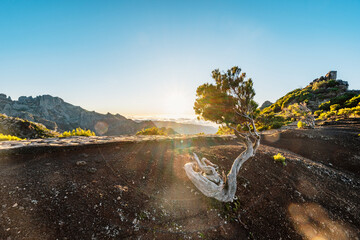 Hiking on the highest peak of Madeira Pico Ruivo next to the cottage Abrigo do Pico Ruivo. Views of...
