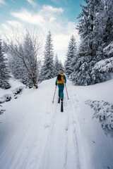 Mountaineer backcountry ski walking ski alpinist in the mountains. Ski touring in alpine landscape with snowy trees. Adventure winter sport. Low Tatras, slovakia