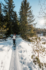 Mountaineer backcountry ski walking ski alpinist in the mountains. Ski touring in alpine landscape with snowy trees. Adventure winter sport. High tatras, Slovakia