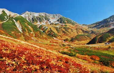 紅葉の立山連峰　ハイキング