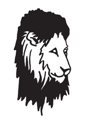 Graphical portrait of  lion isolated on white background, vector illustration. African animal