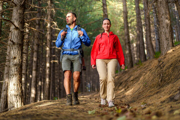 Fototapeta premium Couple Hiking Together in Forest - Outdoor Adventure and Nature Enjoyment