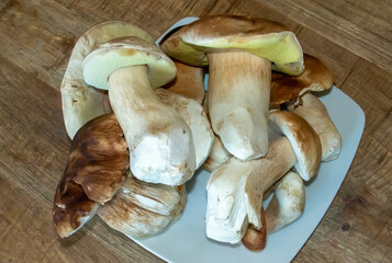 Plato de Boletus frescos y limpios listos para ser cocinados. Grupo de boletus crudos. Boletus edulius, seta calabaza, cep, penny bun, porcino y porcini.