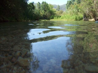 Remalso del rio en calma