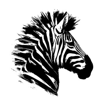 zebra Horse in illustration in brush stroke painting,