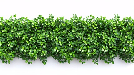 Obraz premium A verdant barrier of foliage on its own.