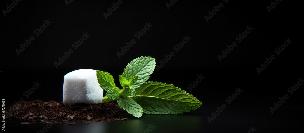 Aufkleber a white marshmallow coated in chocolate with a mint leaf placed on a dark backdrop providing ample c