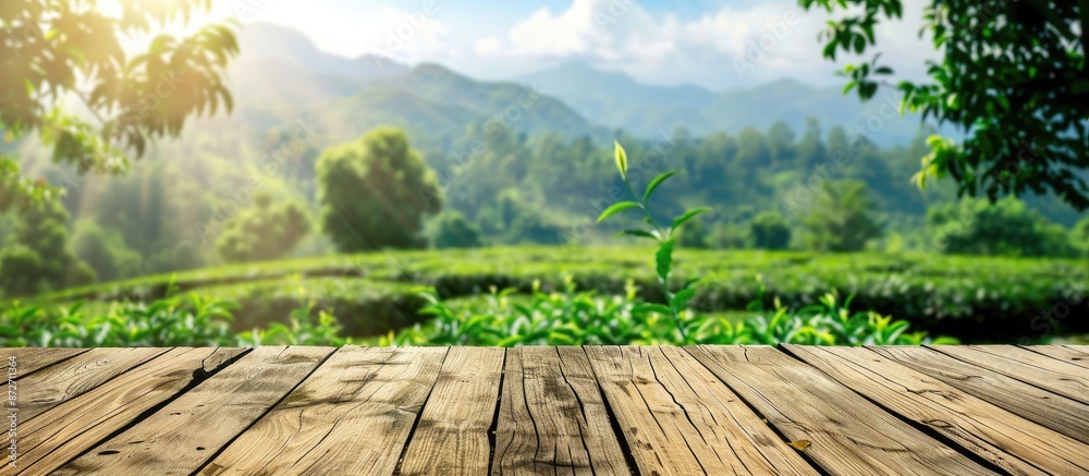 Leinwandbilder wooden surface showcasing a scenic mountain view or a tea plantation backdrop with blurred effect, o