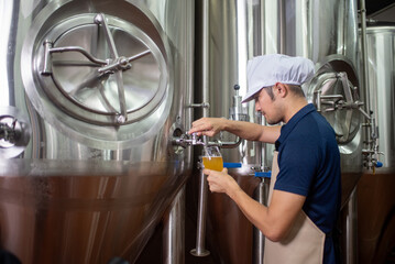 An Asian male brewer tests beer samples by pouring beer