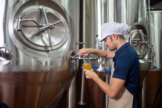 An Asian male brewer tests beer samples by pouring beer