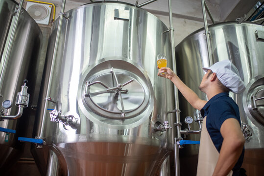 An Asian male brewer tests beer samples by pouring beer