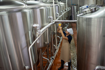 An Asian male brewer tests beer samples by pouring beer
