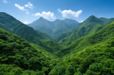 Fototapeta premium Lush green mountain landscape under blue sky