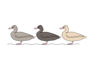 three abstract ducks stand in a row,continuous single line art hand drawing sketch logo