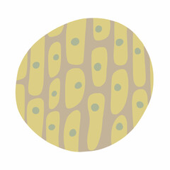 Vector isolated illustration of plant cell structure.