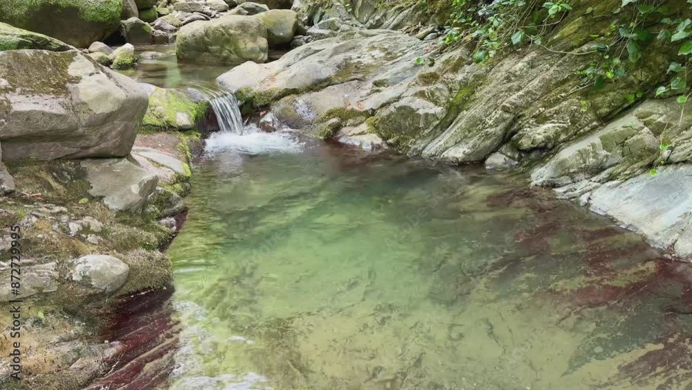 Poster mountain river in the forest in summer.