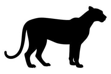 silhouette of a lion , cheetah vector illustration, cheetah silhouette, animal silhouette isolated vector Illustration, png, Funny cute cheetah, Jumping cartoon Pats
