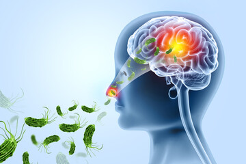 Visual concept of deadly brain-eating amoeba infection. 3d illustration