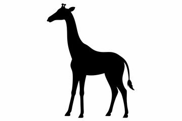 Giraffe illustration , giraffe vector illustration, giraffe silhouette, animal silhouette isolated vector Illustration, png, Funny cute giraffe, Jumping cartoon Pats