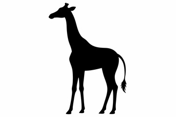 Giraffe illustration , giraffe vector illustration, giraffe silhouette, animal silhouette isolated vector Illustration, png, Funny cute giraffe, Jumping cartoon Pats