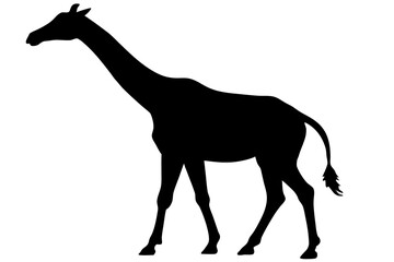 Giraffe illustration , giraffe vector illustration, giraffe silhouette, animal silhouette isolated vector Illustration, png, Funny cute giraffe, Jumping cartoon Pats