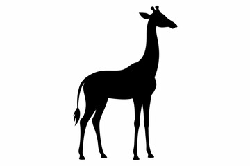Giraffe illustration , giraffe vector illustration, giraffe silhouette, animal silhouette isolated vector Illustration, png, Funny cute giraffe, Jumping cartoon Pats