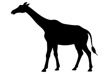 Giraffe illustration , giraffe vector illustration, giraffe silhouette, animal silhouette isolated vector Illustration, png, Funny cute giraffe, Jumping cartoon Pats