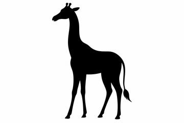 Giraffe illustration , giraffe vector illustration, giraffe silhouette, animal silhouette isolated vector Illustration, png, Funny cute giraffe, Jumping cartoon Pats