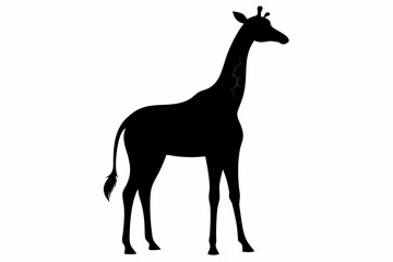 Giraffe illustration , giraffe vector illustration, giraffe silhouette, animal silhouette isolated vector Illustration, png, Funny cute giraffe, Jumping cartoon Pats