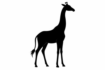 Giraffe illustration , giraffe vector illustration, giraffe silhouette, animal silhouette isolated vector Illustration, png, Funny cute giraffe, Jumping cartoon Pats