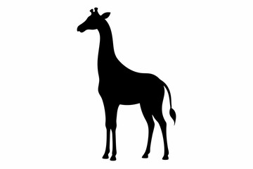 Giraffe illustration , giraffe vector illustration, giraffe silhouette, animal silhouette isolated vector Illustration, png, Funny cute giraffe, Jumping cartoon Pats