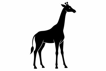Giraffe illustration , giraffe vector illustration, giraffe silhouette, animal silhouette isolated vector Illustration, png, Funny cute giraffe, Jumping cartoon Pats