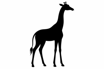 Giraffe illustration , giraffe vector illustration, giraffe silhouette, animal silhouette isolated vector Illustration, png, Funny cute giraffe, Jumping cartoon Pats