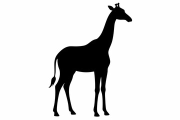 Giraffe illustration , giraffe vector illustration, giraffe silhouette, animal silhouette isolated vector Illustration, png, Funny cute giraffe, Jumping cartoon Pats