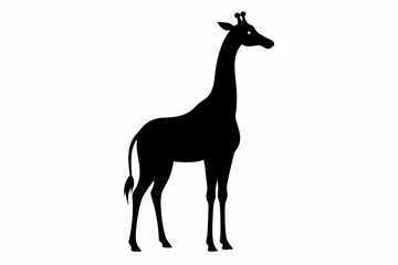 Giraffe illustration , giraffe vector illustration, giraffe silhouette, animal silhouette isolated vector Illustration, png, Funny cute giraffe, Jumping cartoon Pats