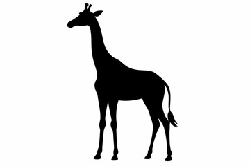 Giraffe illustration , giraffe vector illustration, giraffe silhouette, animal silhouette isolated vector Illustration, png, Funny cute giraffe, Jumping cartoon Pats