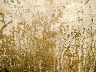 The surface has water stains.