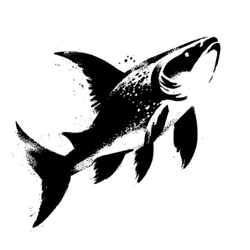 black and white shark swimming upwards clip art preview