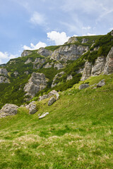 Mountains in the summer