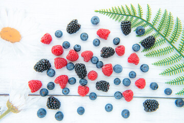 Wild Berries mix, raspberry, blueberry, blackberry, isolated on white wooden background