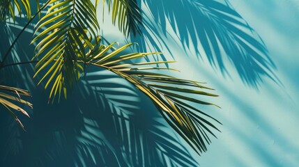 Fototapeta premium Tropical palm leaves casting shadows on a blue backdrop Minimalistic nature Summer theme Flatlay with space for text