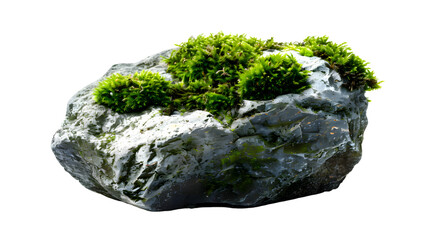 Mossy stone isolated on transparent  background