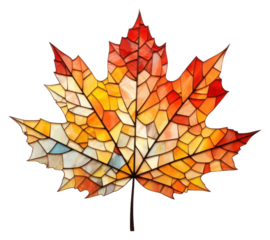 PNG Autumn leaf maple plant tree.