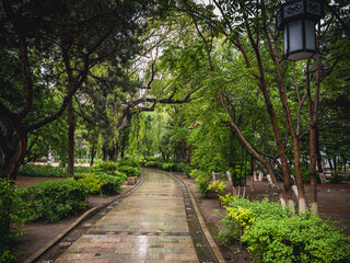 Beautiful scenery of the park on a rainy day, Changchun, China